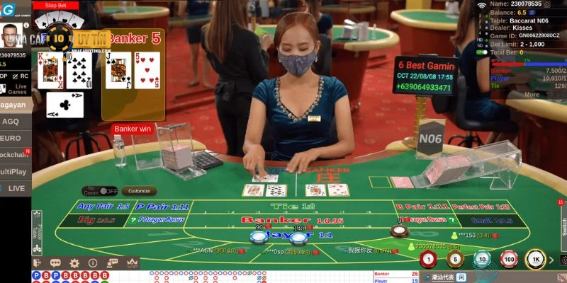 Đặt cược rồng hổ tại sảnh casino online nhận thưởng khủng